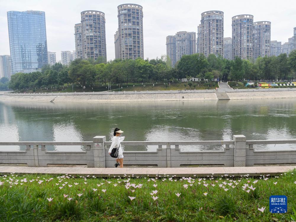 神州鸿运高手论坛